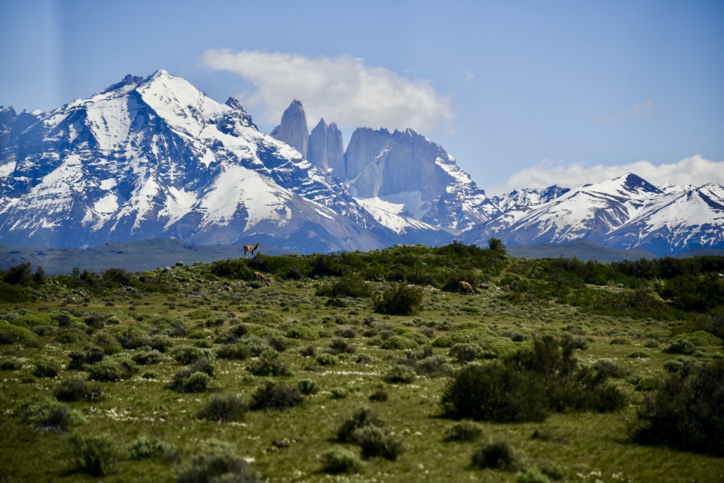 Torres del Paine National Park Patagonia/Chile